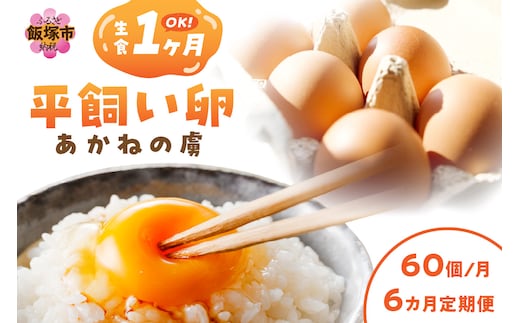 〈平飼い卵〉あかねの虜（60個/月）【6カ月定期便】【J62-002】