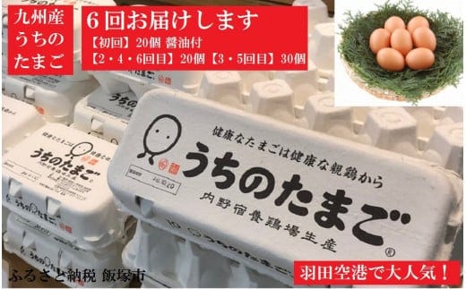 うちのたまご醤油セット(6回お届け)【F8-002】