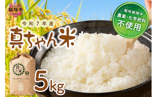 【令和7年産】農薬・化学肥料不使用 真ちゃん米 5kg【B7-036】