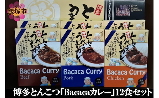 博多とんこつ「Bacacaカレー」12食セット【C-124】