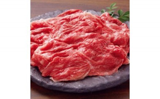 ほさか牛 切り落とし 600g【C6-017】