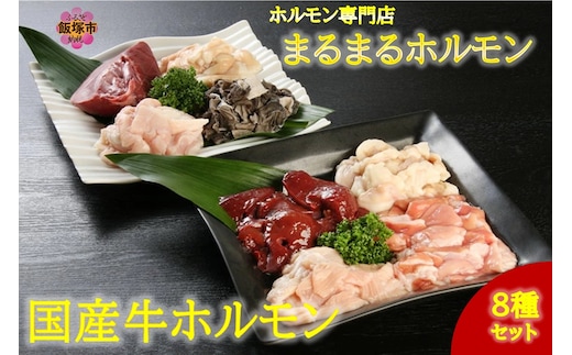ホルモン専門店の国産牛ホルモン8種セット！【D5-043】