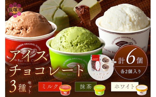 カカオ研究所 アイスチョコレートセット(6個入り)【B5-049】