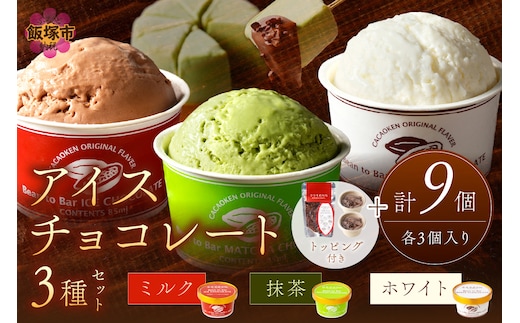 カカオ研究所 アイスチョコレートセット(9個入り)【C4-010】