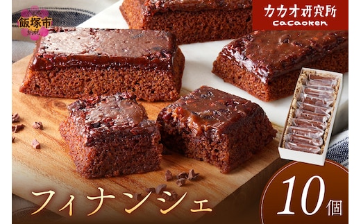 カカオ研究所 フィナンシェ10個セット【B-180】