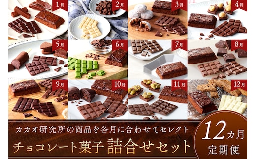 カカオ研究所 チョコレート菓子詰合せセット【12カ月定期便】【J17-001】