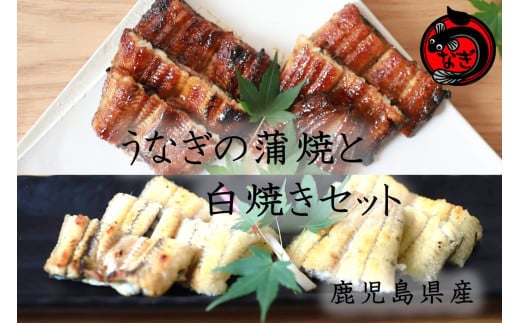 鹿児島産うなぎの蒲焼と白焼きセット 2尾【B7-034】