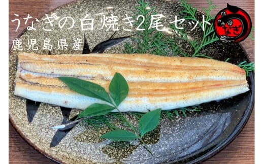 鹿児島産うなぎの白焼き2尾セット【B7-033】