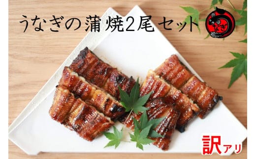 訳アリ！うなぎ蒲焼2尾セット【B-186】