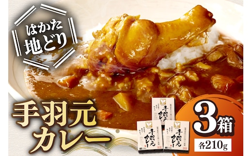 はかた地どり 手羽元カレー【A-861】