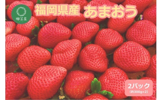 自然栽培 福岡県産あまおう 600g【B5-055】