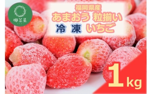 自然栽培 福岡県産あまおう粒揃い(冷凍) 1kg【B5-056】