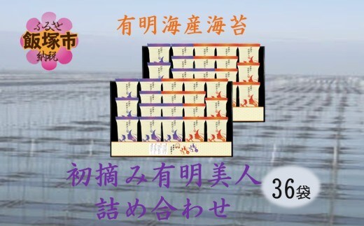 有明海産海苔 初摘み有明美人詰合せ(36袋)【B6-031】
