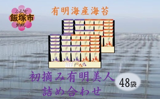 有明海産海苔 初摘み有明美人詰合せ(48袋)【C2-022】