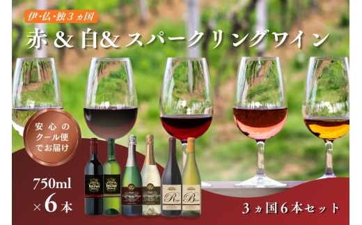 W104 伊・仏・独 6本セット【C8-024】