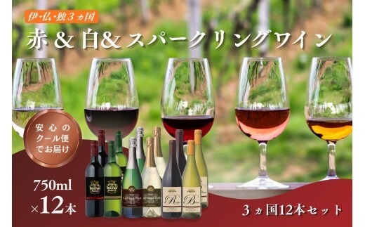 W105 伊・仏・独 12本セット【E-109】