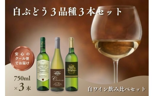 W202 白ぶどう3品種 3本セット【B-216】