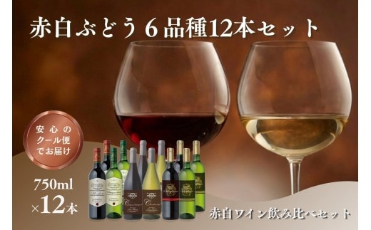 W204 赤白ぶどう6品種 12本セット【E-110】