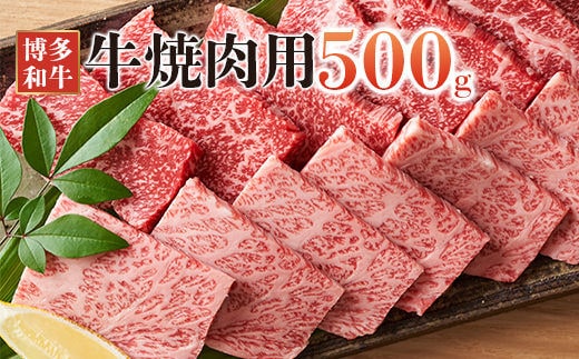 博多和牛焼肉セット 500g(田川市)