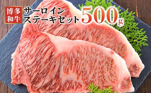 博多和牛サーロインステーキセット 500g(250g×2枚)