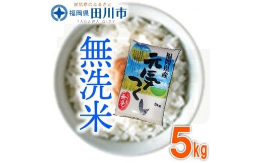 福岡県産元気つくし 無洗米 5kg お取り寄せグルメ お取り寄せ 福岡 お土産 九州 ご当地グルメ 福岡土産 取り寄せ 福岡県 食品