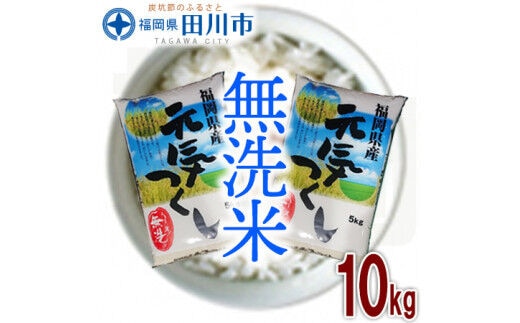 福岡県産元気つくし 無洗米 10kg お取り寄せグルメ お取り寄せ 福岡 お土産 九州 ご当地グルメ 福岡土産 取り寄せ 福岡県 食品