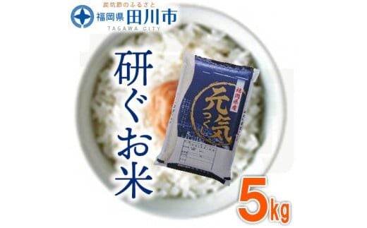 福岡県産元気つくし 5kg お取り寄せグルメ お取り寄せ 福岡 お土産 九州 ご当地グルメ 福岡土産 取り寄せ 福岡県 食品
