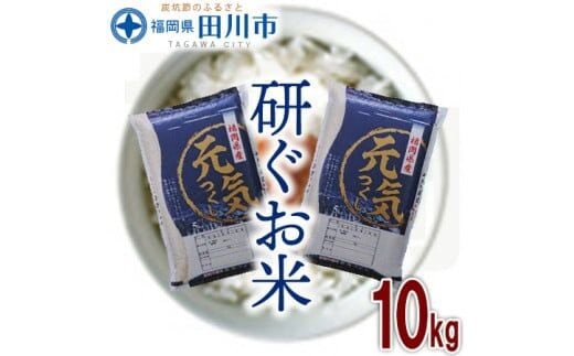 福岡県産元気つくし 10kg お取り寄せグルメ お取り寄せ 福岡 お土産 九州 ご当地グルメ 福岡土産 取り寄せ 福岡県 食品