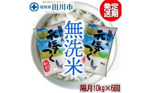 【定期便/隔月】 福岡県産元気つくし 無洗米 10kg×6回 お取り寄せグルメ お取り寄せ 福岡 お土産 九州 ご当地グルメ 福岡土産 取り寄せ グルメ 福岡県 食品