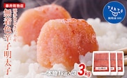 まるきた水産 辛子明太子 1本物3kg(1kg×3)