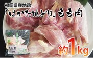 福岡県産地鶏「はかた地どり」もも肉（約1ｋｇ）