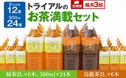 【定期便】トライアルのお茶満載セット（緑茶2L×6本・烏龍茶2L×6本・緑茶500ml×24本）を2か月に1回、合計3回お届け