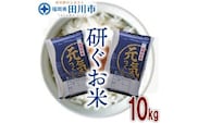 福岡県産元気つくし 10kg お取り寄せグルメ お取り寄せ 福岡 お土産 九州 ご当地グルメ 福岡土産 取り寄せ 福岡県 食品
