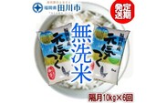 【定期便/隔月】　福岡県産元気つくし 無洗米 10kg×6回 お取り寄せグルメ　お取り寄せ 福岡 お土産 九州 ご当地グルメ 福岡土産 取り寄せ グルメ 福岡県 食品