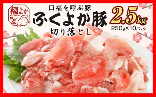 豚肉 ふくよか豚 切り落とし 2.5kg（250g×10パック） モモ ウデ モモ肉 ウデ肉 小分け 真空パック ブタ肉 ぶた肉 生姜焼き 焼きそば 豚汁 冷凍 福岡県 福岡 九州 グルメ お取り寄せ