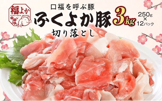 豚肉 ふくよか豚 切り落とし 3.0kg（250g×12パック） モモ ウデ モモ肉 ウデ肉 小分け 真空パック ブタ肉 ぶた肉 生姜焼き 焼きそば 豚汁 冷凍 福岡県 福岡 九州 グルメ お取り寄せ