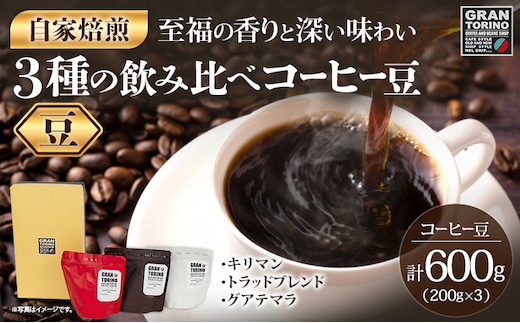GRAN TORINO 200g×3種類 コーヒー 豆 キリマン トラッドブレンド グアテマラ 3種 飲み比べ セット 計600g 自家焙煎 珈琲豆 ドリンク 飲料 福岡県 福岡 九州 お取り寄せ