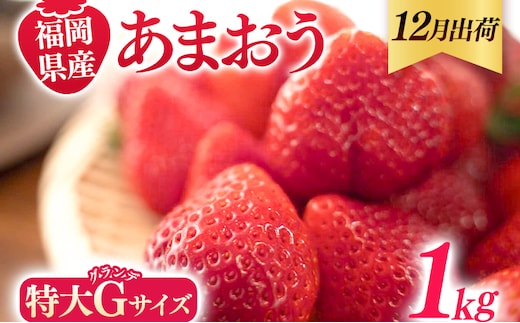 福岡県産 あまおう 1000g （250g×4パック） いちご 12月中発送 いちご 苺 フルーツ 果物 くだもの 大粒Gサイズ グランデ 農家直送 大粒 不揃い 福岡県 福岡 九州 グルメ お取り寄せ