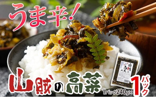 辛子高菜 240g×1パック 山賊の高菜 からし高菜 メール便 ポッキリ お米に合う ご飯のお供 おつまみ 国産 無添加 お取り寄せ 福岡 お土産 九州 グルメ 福岡県