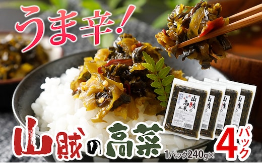 辛子高菜 240g×4パック 山賊の高菜 からし高菜 メール便 ポッキリ お米に合う ご飯のお供 おつまみ 国産 無添加 お取り寄せ 福岡 お土産 九州 グルメ 福岡県