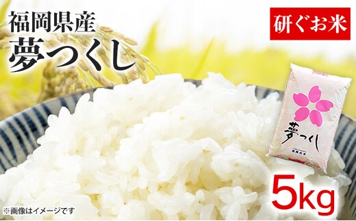 福岡県産夢つくし【研ぐお米】5kg 米 福岡県 福岡 九州 グルメ お取り寄せ 食品 お土産 ご当地グルメ 福岡土産