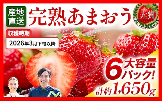 あまおう 約1650g（約275g×6パック） 【先行受付／2026年3月下旬以降順次発送予定】いちご 苺 福岡高級 フルーツ お取り寄せ ご当地グルメ 福岡土産 取り寄せ グルメ 福岡県 食品 社会福祉法人 猪位金福祉会