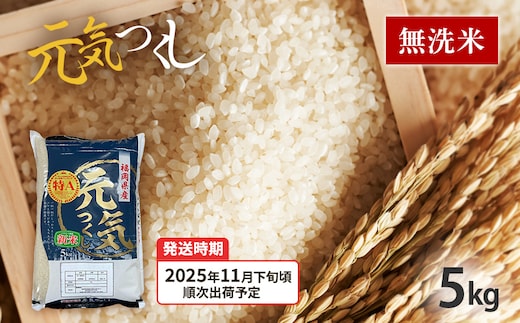 令和7年産 福岡県産ブランド米「元気つくし」無洗米 5kg【11月下旬頃より順次出荷予定】