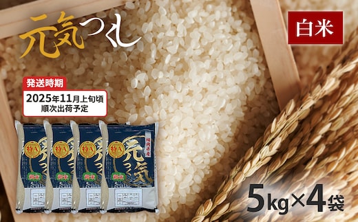 令和7年産 福岡県産ブランド米「元気つくし」白米20kg【11月上旬頃より順次出荷予定】