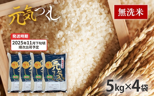 令和7年産 福岡県産ブランド米「元気つくし」無洗米20kg【11月下旬頃より順次出荷予定】