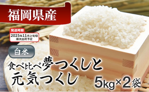 令和7年産 福岡県産米食べ比べ<白米>「夢つくし」と「元気つくし」セット 計10kg【11月上旬頃より順次出荷予定】