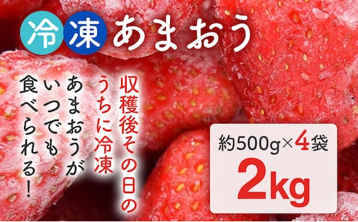 福岡県産【博多冷凍あまおう】 約2kg 産地直送 産直 朝採れ 朝採り 新鮮 瞬間冷凍 いちご イチゴ 苺 お取り寄せグルメ お取り寄せ 福岡 お土産 九州 福岡土産 取り寄せ グルメ 福岡県 ※北海道・沖縄・離島は配送不可