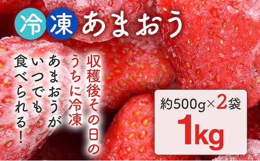 福岡県産【博多冷凍あまおう】 約1kg 産地直送 産直 朝採れ 朝採り 新鮮 瞬間冷凍 いちご イチゴ 苺 お取り寄せグルメ お取り寄せ 福岡 お土産 九州 福岡土産 取り寄せ グルメ 福岡県 ※北海道・沖縄・離島は配送不可