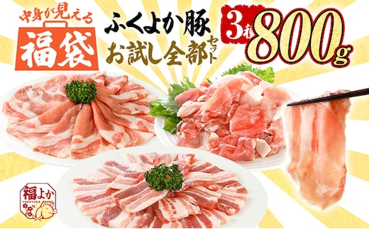 福袋 豚肉 しゃぶしゃぶ 焼肉 切り落とし【B】ふくよか豚 お試し全部セット ロース バラ 小分け ブタ肉 ぶた肉 冷凍 福岡県 福岡 九州 グルメ お取り寄せ