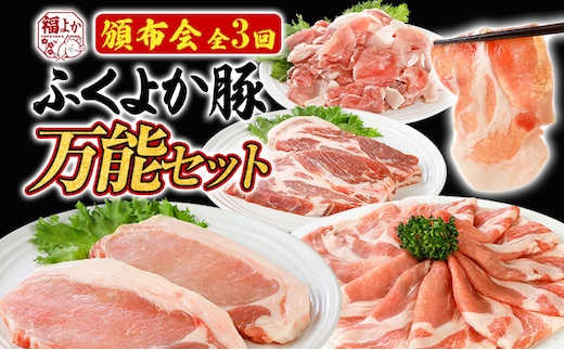 【頒布会】豚肉 切り落とし しゃぶしゃぶ ステーキ ふくよか豚 万能セット 定期便 ロース 肩ロース バラ モモ ヒレ 小分け ブタ肉 ぶた肉 冷凍 福岡県 福岡 九州 グルメ お取り寄せ